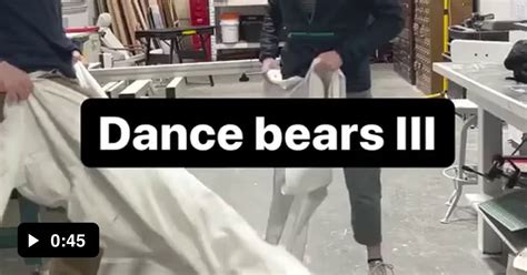 dancing bear videos|So last night ... with a stranger.